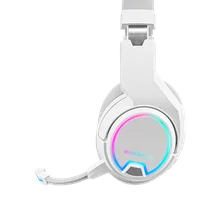 mhw100-color-2_480x600